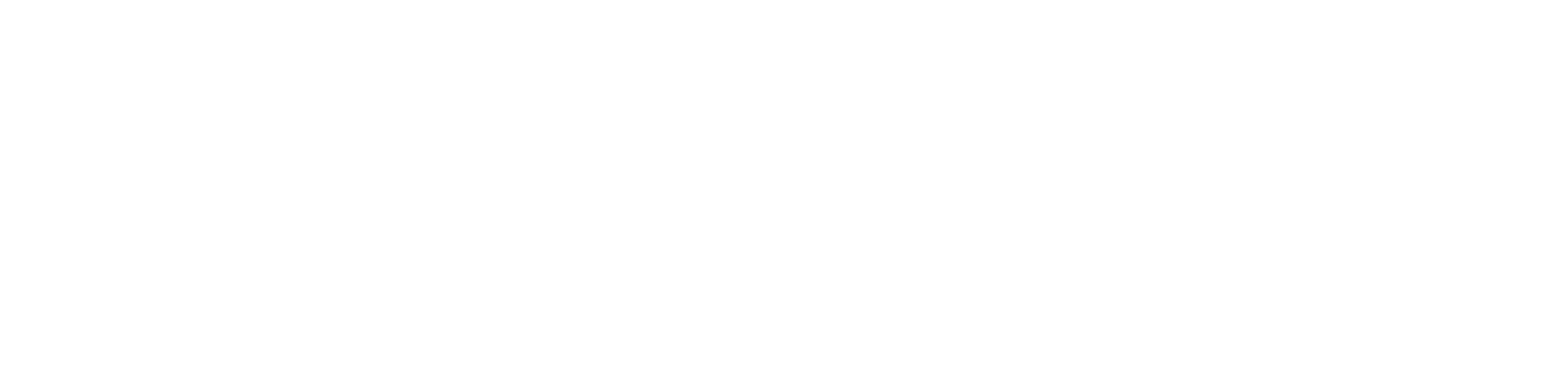 logo Energy white